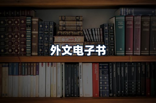 外文电子书